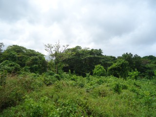 Lot137 Cardiff Hall Runaway Bay St Ann, St. Ann, Jamaica - Residential lot for Sale